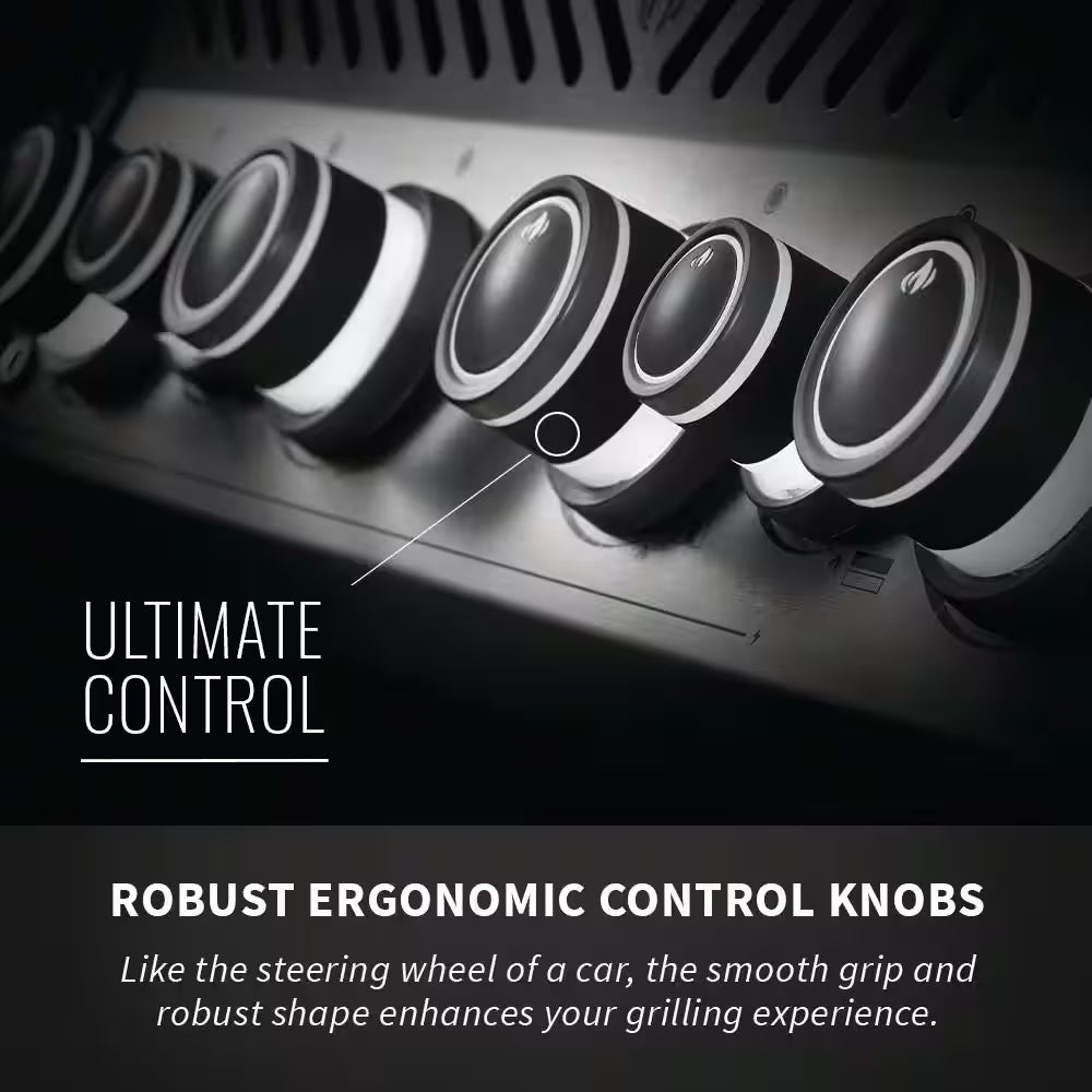 Rogue 4-Burner Propane Gas Grill in Stainless Steel with Infrared Rear and Side Burners