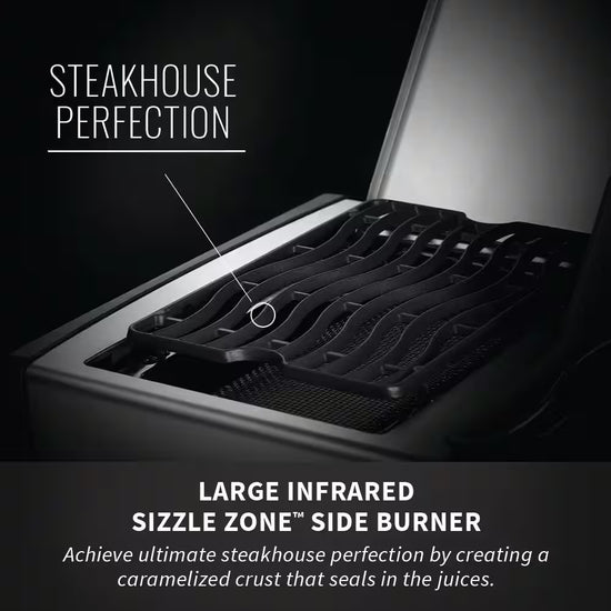 Rogue 4-Burner Propane Gas Grill in Stainless Steel with Infrared Rear and Side Burners