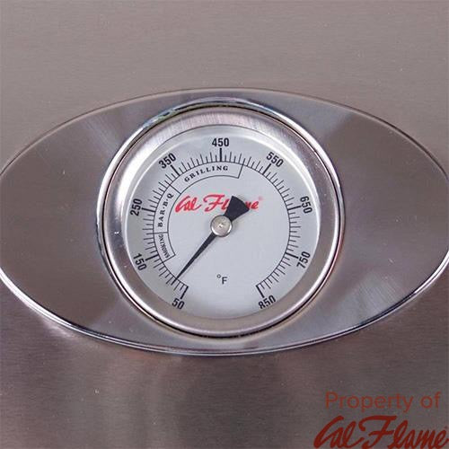 Cal Flame Built In Grill 5 Convection Lp W/ Ng Conversion Kit